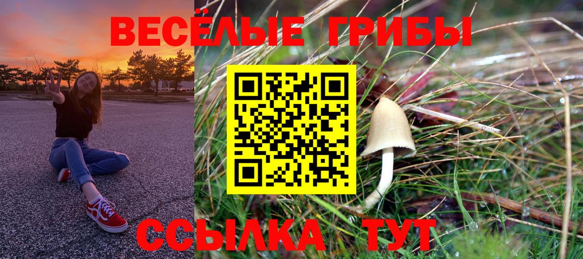 Симферополь  Псилоцибиновые грибы прущие грибы  Вход с VPN 